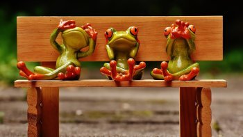 Allez Joël ! On t'écoute !
10 blagues ???   ....  C'est super !