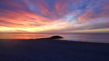 La TOUSSAINT nous rapproche tous, nos peines paraîtront moins grandes en unissant nos pensées .....
