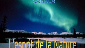 ce dernier diapo va vous enchanter ,,,j'espère,,et je remercie l'auteur et les photographes qui ont conçu  et monté ces belles images

source internet )