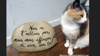 Une pensée, pour ceux qui pleurent l'absence, de proches......
-Tu n es plus là où tu étais"
Mais tu es partout, là où je suis "Victor Hugo."