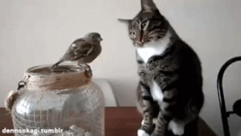 AVEC EUX ,, le spectacle est assuré