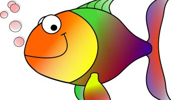 Un indice tourné à la manière de ce vicieux " Joël " ...
Et à vous de deviner le nom du poisson recherché .
Vous n'avez pas le droit de tricher ! 
Le bon Dieu vous regarde !