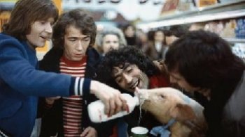 Le cochon est un animal hyper propre muni d'une grande intelligence, hyper sociable et très attachant, un clin d'œil à tous les végétariens qui respecte les animaux tout comme les humains. Le cochon qui se tire en bagnole et juste épic. HaHaHaHa !