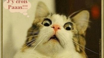 EH bien  ,,, nous voila dans de beaux draps ,,, 
certains élèves ont une imagination  particulière,,,
Les enseignants doivent parfois  avoir des poussées  de Tension artérielle,,, 