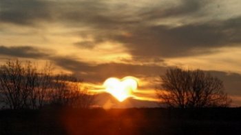 

Juste quelques lignes jetées sur la toile en ce petit matin sous le ciel de juillet
où la lune et les étoiles se mêlent aux premières lueurs du jour, rendez-vous
immuable entre la belle aux reflets d'argent et son chevalier de feu, en attendant qu'un jour enfin ils se rencontrent, l'un par l'autre englouti.