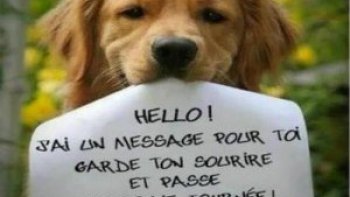 Ce texte a été écrit par une  femme......allez savoir laquelle  .......ça pourrait être  vous........