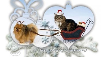  Le temps, c'est quand on va d'un Noël à l'autre....