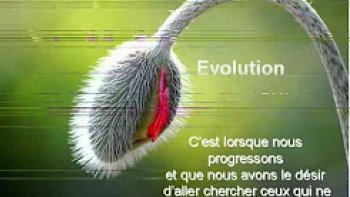 Partageons ces pensées positives...