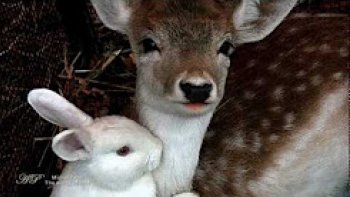 **Ne conquiers pas le monde si tu dois y perdre ton âme car la sagesse vaut mieux que l'or et l'argent**