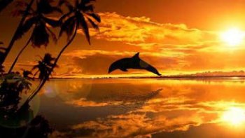 Musique douce, laissez vous planer !