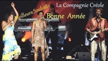 ***Bonne année avec cette joyeuse compagnie***