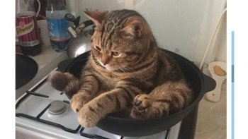 Un,peu de tout......du moment que c'est drôle!