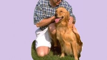 C'est en son absence que la femme. se révèle  irremplaçable, et si précieuse!dans une maison,pour que règne l'harmonie!C'est le chien qui va remuer de la queue, au retour de sa maîtresse..........