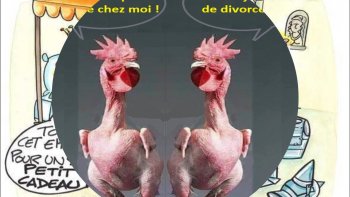 quelques images humoristiques, côtoyant des plus sages.....