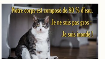 En raclant les fonds de  tiroirs....les doublons vous donneront peut-être double joies ou double ennuis.   