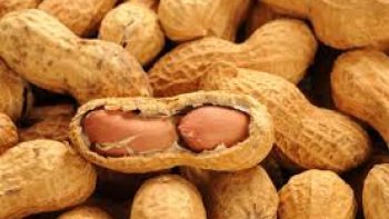 Le côté salé ou non, assure la bonne marche de l'apéritif en donnant soif aux convives.