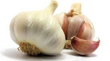 Spécialité Italienne  ( Accompagnement :  café capuccino )