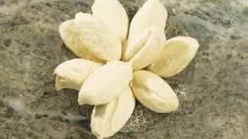 En entrée avec une frisée aux lardons et aux croûtons ou bien les servir avant le dessert avec une salade verte.