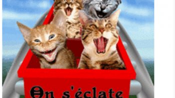 Quelques images de Jean Chaperon ajoutées pour étoffer un peu.....bien, que déjà passées...il y a un certain,temps.....