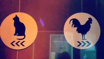 Juste pour un sourire.
Des petites idées originales pour donner une pointe d'humour au "petit endroit"