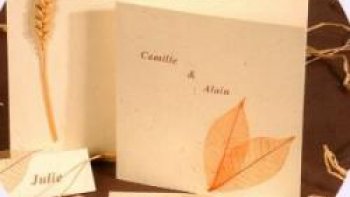 Conseils d'un père… mais... d’un père lucide !