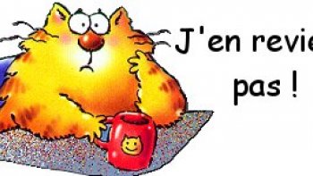 merci à Charlotte de m'avoir envoyé ces  photos  étonnantes ! 
j'ai essayé d'en faire un petit diapo  pour partager cet événement peu banal avec vous..il y a de quoi être surpris