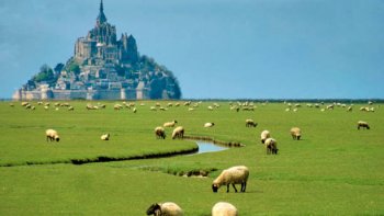 
L'oiseau dont je souhaite vous parler
est très gracieux . Vous pourriez le voir
dans le paysage ci-contre, où dans une
prairie au milieu d'un troupeau de vaches.
Il aime aussi être au bord d'un ruisseau,
où dans un marécage. Sa présence est
parfois surprenante........