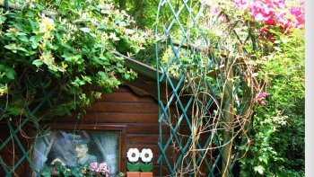 C'est un jardin sauvage, situé à 15 km de l'habitation... Avec le confinement pas possible, de s'y rendre, alors je pense à lui, il me manque beaucoup, enfermée dans ma tour.