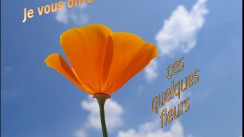 un florilège de fleurs,souriantes,...sous le ciel du printemps