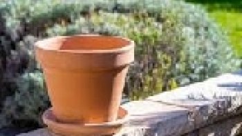 Vous verrez les pots de fleurs sur votre rebord de fenêtre d'un autre œil ! Ce qui semble bizarre au premier abord est en fait une recette qui rend la viande de poulet particulièrement tendre et parfumée. Vous ne pourrez plus vous en passer ! ----- et pour suivre une chanson du Poulet  " JE VEUX DU POULET " Bonne journée à tous. !