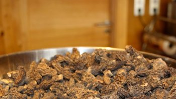 Recette traditionnelle de la cuisine Franc-Comtoise, Il est un plat principal de la culture gastronomique familiale Franc-Comtoise.