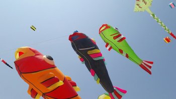 Merci à notre ordissinaute Poupette pour cette vidéo ! Avez-vous déjà assisté à un rassemblement de cerfs-volants ?