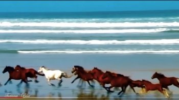 Mettre en grand écran...en cliquant sur You  tube puis sur grand écran(si besoin sur ignorer   les annonces,entre deux.) pour avoir de magnifiques images! avec la flûte de léo Rojas.....!