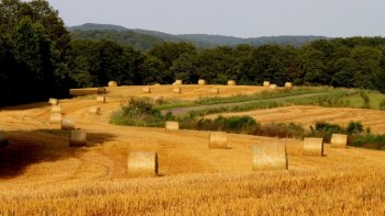 voici un très beau poème de notre amie monique !