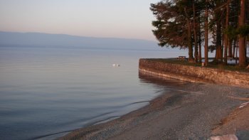 vignobles au bord du lac léman.