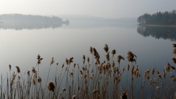 Une nouvelle de Guy de Maupassant en trois épisodes...