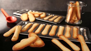 LANGUES DE CHAT