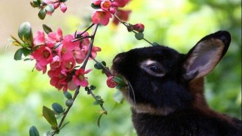 À travers champs...