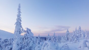 Ce n'est pas parce que c'est l'hiver qu'il n'y a rien à faire, bien au contraire ! Découvrez la Laponie avec notre ordissinaute Clo.