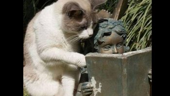 Choisir le bon moment, pour l'objectif, un art, et une chance....