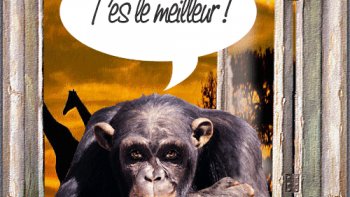 " parfaitement mystérieux... le cerveau fascine..."