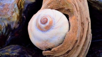 Sur une musique de Joël Hannier:"mélodie pour un amour"
Poème de Gérard  Hicès:
images Pixabay.....