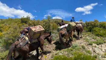 Direction les montagnes corses à Albertacce, où Alain est l'un des trois derniers muletiers de l'île de Beauté. Du printemps à l'automne, il ravitaille les refuges grâce à ses mules. Nourriture, bouteille de gaz et même ordure, tout est transporté sur le dos de ses fidèles bêtes. ! ----- Ensuite je vous emmène dans le monde de la magie, l'amour et la romance. Et c'est Isidora Kadic qui vous interprète au Piano Cover " MARIAGE d'AMOUR ( Paul de Senneville). !