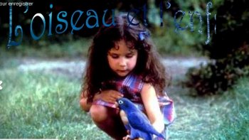 grand prix de l'eurovision, France  77,la meilleure  chanson! les mots sont musique !mais  ci-aprés  vidéo chantée par Marie Myriiam