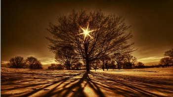   De belles photos et nous laisser aller à rêver sur un poème de  Marie Laborde