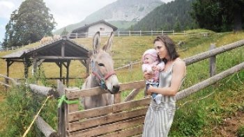 FUNNY, l'âne domestique qui est connu dans le monde entier et qui est issu d'un métissage entre une ânesse et un cheval, tous deux sont stériles. L'âne est aussi un animal de spectacle talentueux et on pense qu'il était l'ancêtre des ânes sauvages. ! 