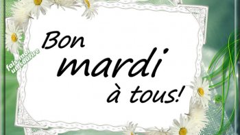 Plaisanteries fines et sarcastiques****