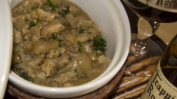 voici une scculente cette de chef lucciolo