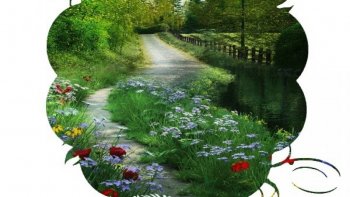 QUELQUES HISTOIRES À PARTAGER...