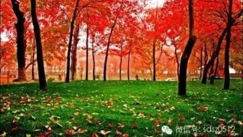 ROLAND53 vous souhaite un joli mois de mai à travers ce beau texte !